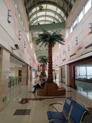 -复旦大学附属妇产科医院(杨浦院区)