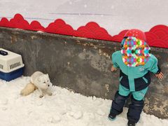 -湘江欢乐城欢乐雪域