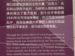 -北京周口店北京人遗址博物馆