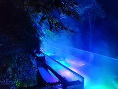 -花水湾第一村温泉大酒店