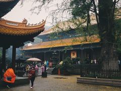 -普陀山风景名胜区-法雨禅寺