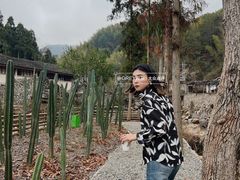 -MOJ coffee(瓯海泽雅水碓坑店)