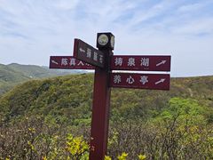 -大围山国家森林公园