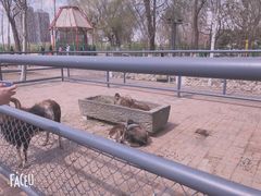 -长白岛森林公园