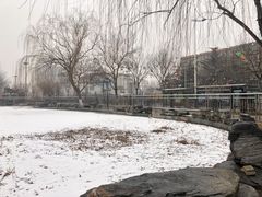 -黄村公园