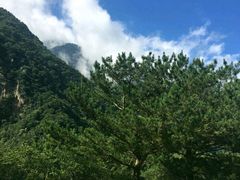 美景-太鲁阁公园