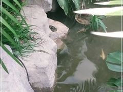 -滕头生态酒店(奉化店)
