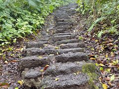 -海口火山口国家地质公园