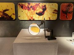 -湖南省地质博物馆