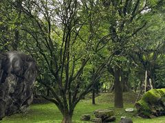 -云南勐巴娜西珍奇园