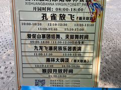 -西双版纳原始森林公园