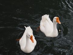 -台州府城(东湖)