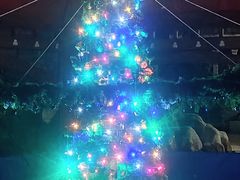 -长沙湘江欢乐雪域