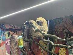 -正佳雨林生态植物园