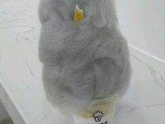 -PAWTOY爪e玩偶店(天兴罗斯福店)