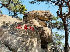 -崂山仰口游览区