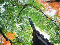 -汇龙潭