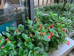 -大妙火锅·非物质文化遗产(东湖公园店)