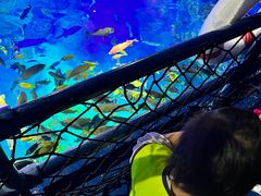 -沈阳海洋探索中心