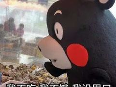 -秦氏环球炸鸡(解放北路店)