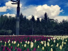 -长春公园(普阳街道)