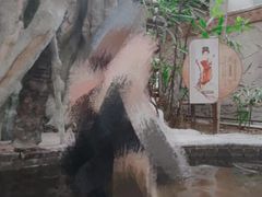 -龙达温泉生态城