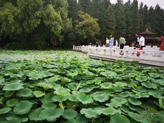 -采石矶景区