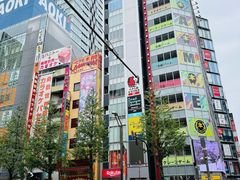 -秋叶原电器街
