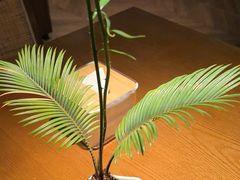 -小户人家(循礼门南国中心店)