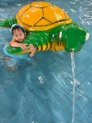 点击看大图 -宝燕乐园(闵行旗舰店)