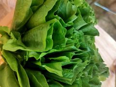 油麦菜-大永發老火浓汤·经典粤菜(北滨路店)