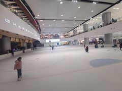-TheRink大零溜冰场(IFS国金中心店)