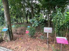 -广东中医药博物馆