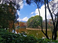 -云南民族村