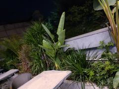-马家斑.鲜鱼火锅(松湖万科店)