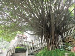 -乌山风景区