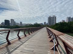 -金鸡岭桥头公园