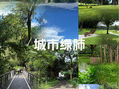 -莲花山公园