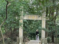 -上海佘山国家森林公园天马山园