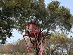 -福建鲤鱼洲酒店