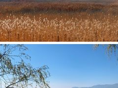 -野鸭湖国家湿地公园