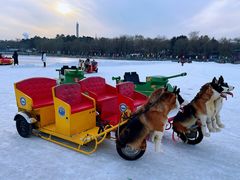 -长春市南湖公园