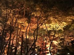 -轻井泽高原教堂