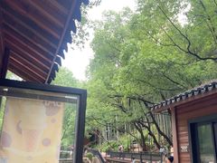 -东明山森林公园