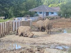 -沈阳森林动物园