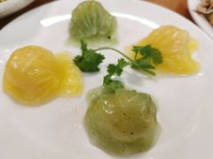 彩色虾饺皇-正宗普宁豆干坊·洪记砂锅粥(红领巾路店)