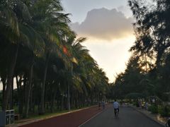 -万绿园