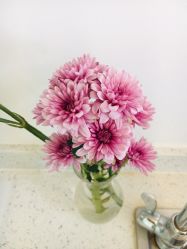 -酉嘉瑜伽YO+YOGA