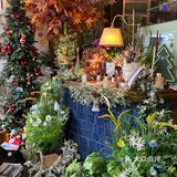 东莞探店｜圣诞节必去的咖啡店🎄氛围感超足