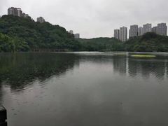 -重庆彩云湖湿地公园